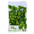 CURRY LEAVES FRESH INDIA