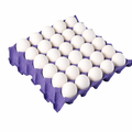 IRAN WHITE EGG 30 PCS