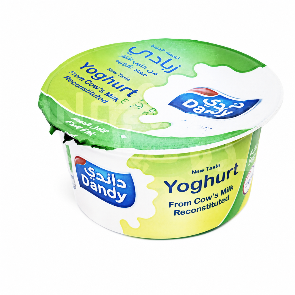 DANDY YOGHURT F F NEW TASTE 170 GM