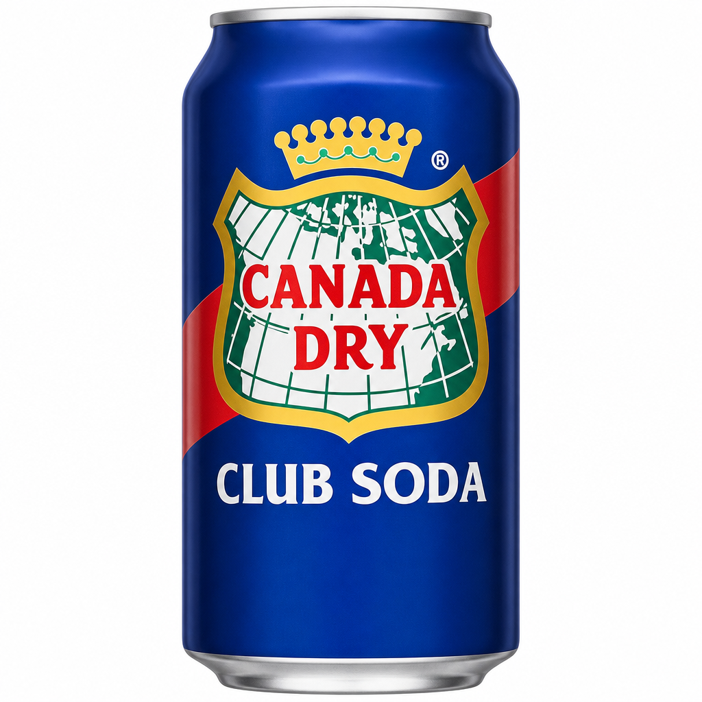 CANADA DRY CLUB SODA 330ML