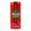 CANADA DRY DANA 250 ML