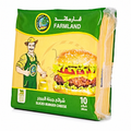 FARMLAND BURGER CHEESE SLICE 200GM