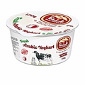 BALADNA ARABIC YOGHURT FF 170GM