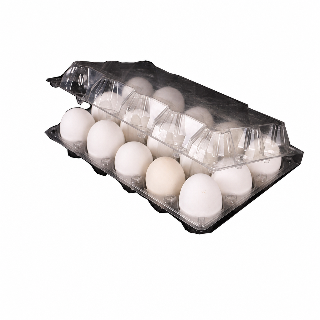 EGG WHITE IRAN 15 PCS  TRAY