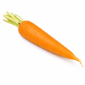 CARROT FRESH CHINA