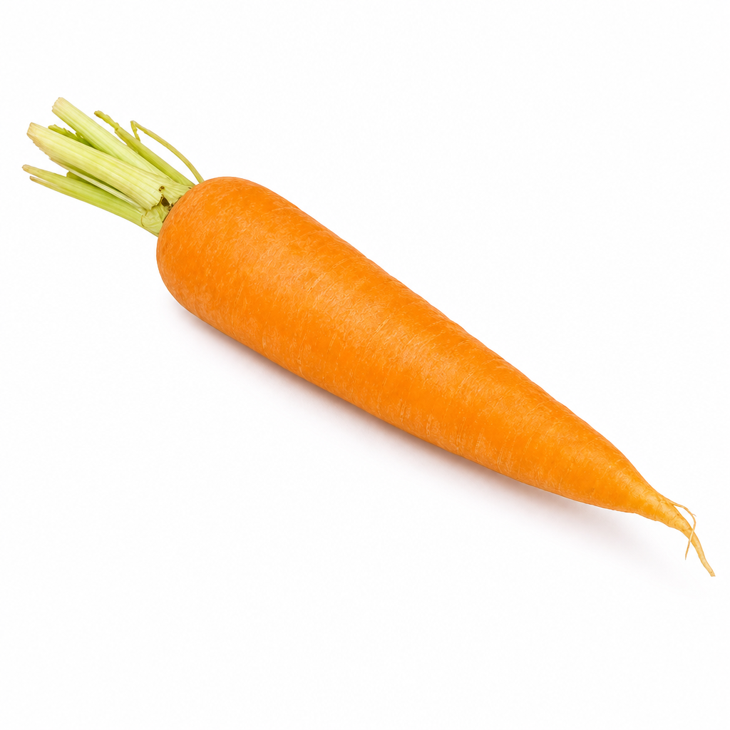 CARROT FRESH CHINA