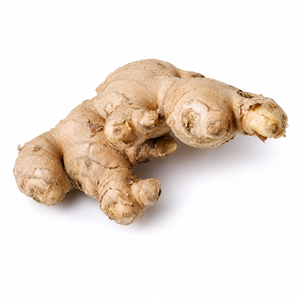 GINGER FRESH INDIA