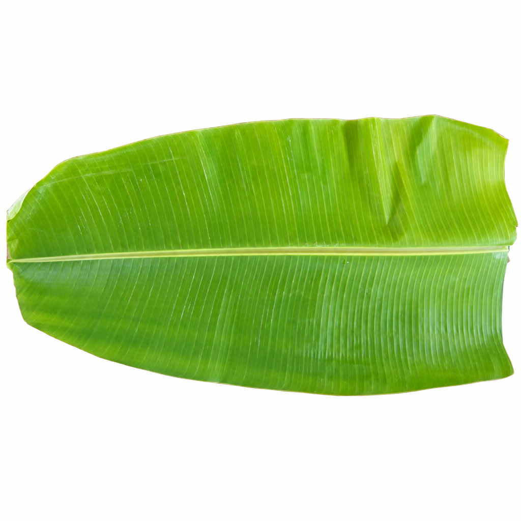 BANANA LEAF