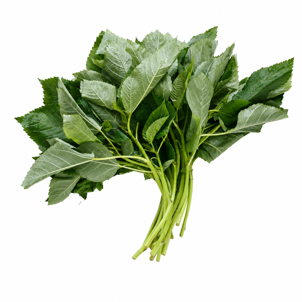 MOLOKHIA LEAVES FRESH
