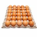 EGGS BROWN 30PCS INDIAN