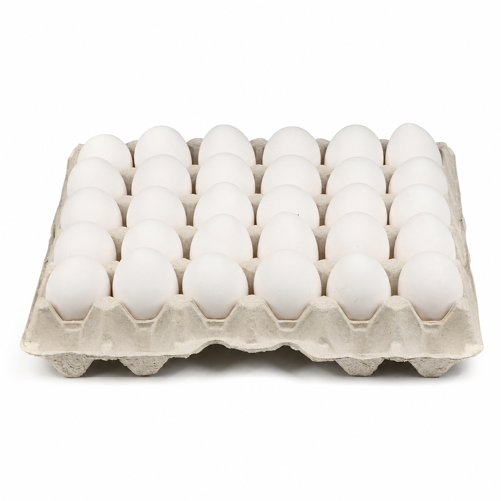 EGGS WHITE 30PCS SYRIA